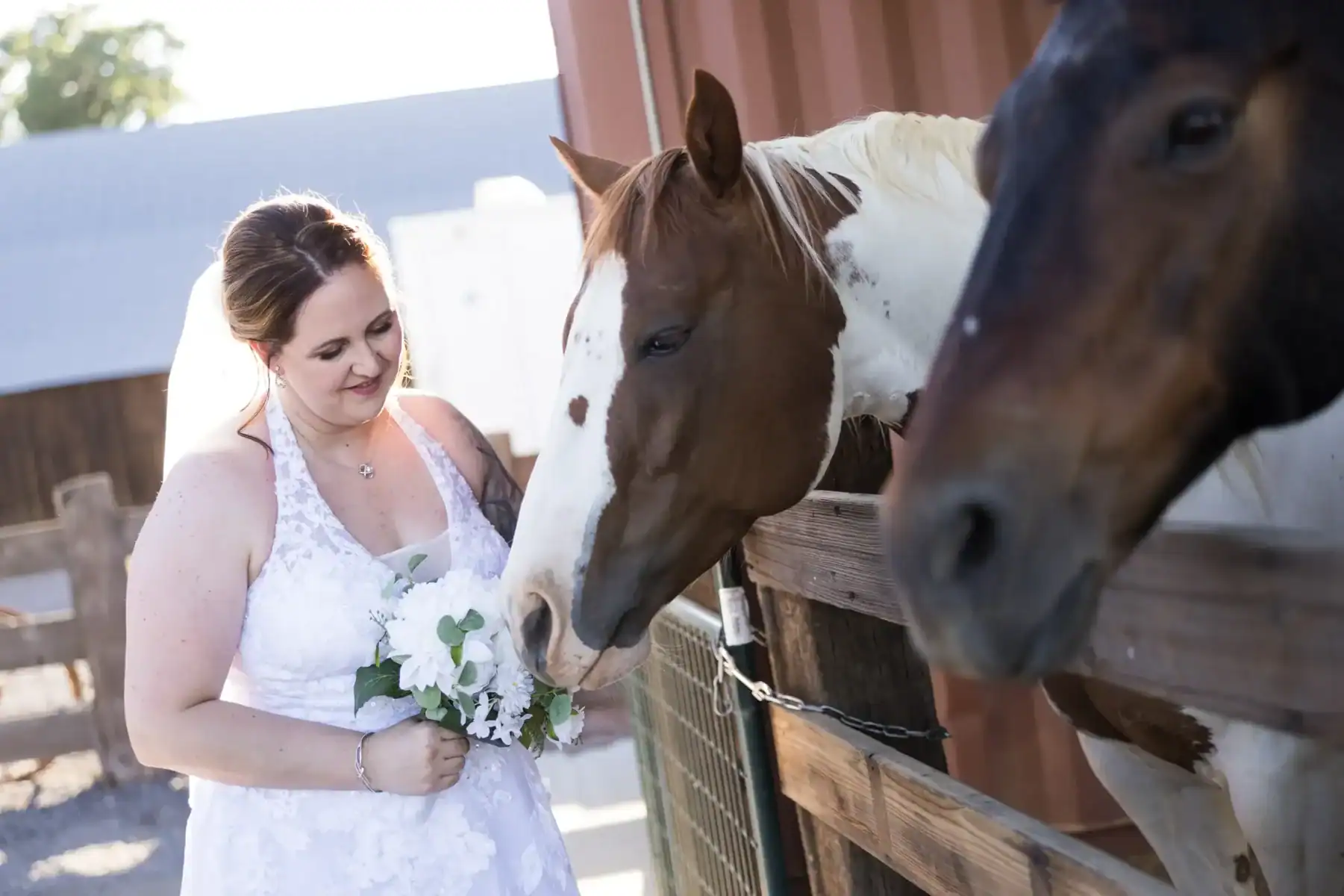 amanda aaron barn wedding venue northern california wedding